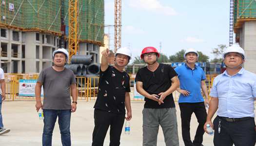 九游网·官方端网站登录入口董事会巡检圆满完成